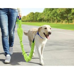 Accent Plus Reflective Dog Leash Set