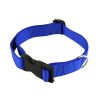 Accent Plus Reflective Dog Leash Set
