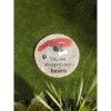Accent Plus You Are Always In Our Hearts Pet Memorial Stone