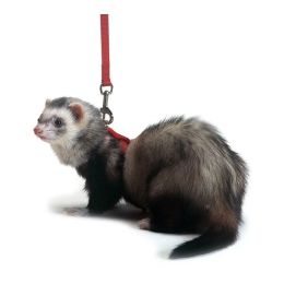 Marshall Pet Products Ferret Harness and Lead Set Red