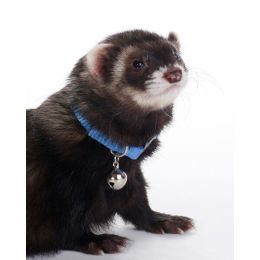 Marshall Pet Products Ferret Bell Collar Blue 3/8 in