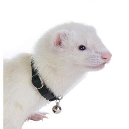Marshall Pet Products Ferret Bell Collar Black 3/8 in