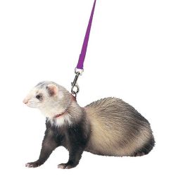 Marshall Pet Products Ferret Harness and Lead Set Purple