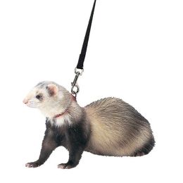 Marshall Pet Products Ferret Harness and Lead Set Blue