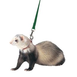 Marshall Pet Products Ferret Harness and Lead Set Black