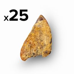 Platinum Pet Treats - Super Pig Ears (Pack of 25) (Pack of 25)
