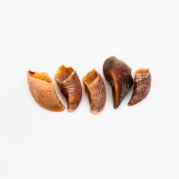 Platinum Pet Treats - Beef Hooves (Pack of 5) (Pack of 5)