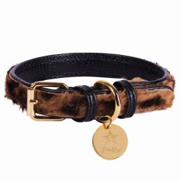 Dog Collar (Pack of 1)